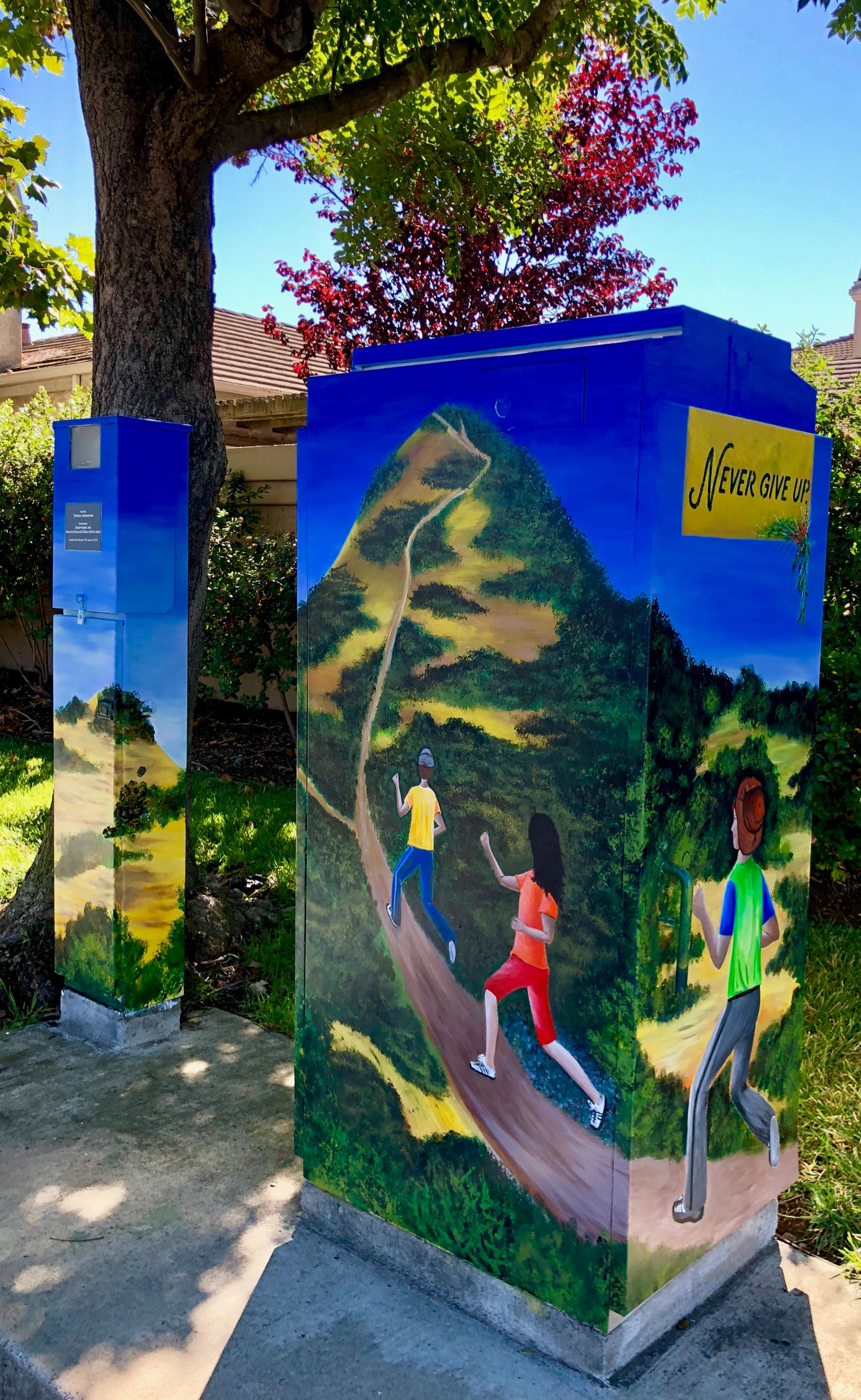 Never Give Up Utility Box