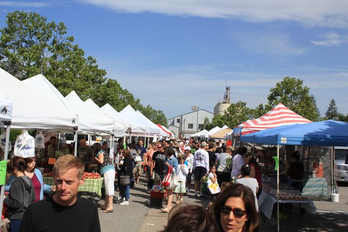 Farmers' Market Every Saturday