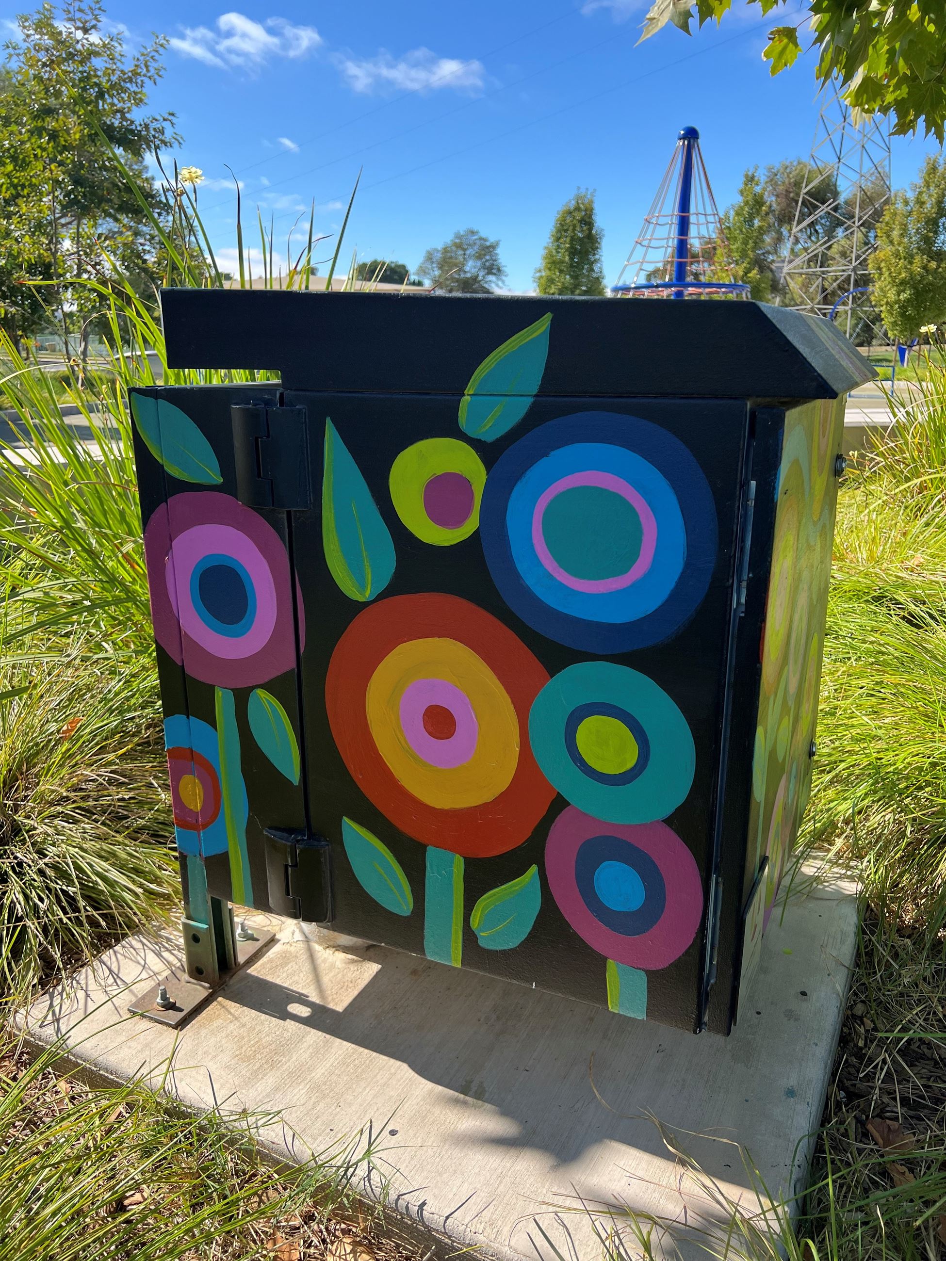 Utility Box Art at Community Park